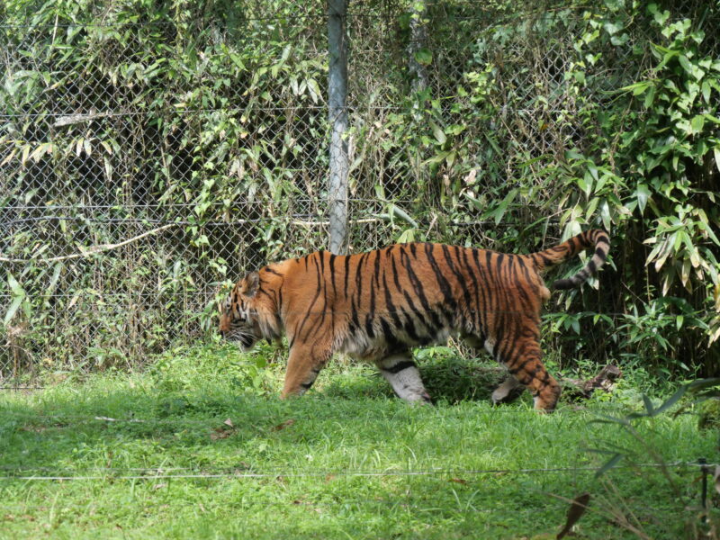 P1011707